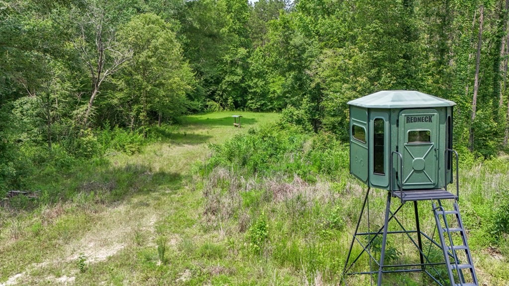 345 Acres with Camp, Creek bordering National Forest in SWMS