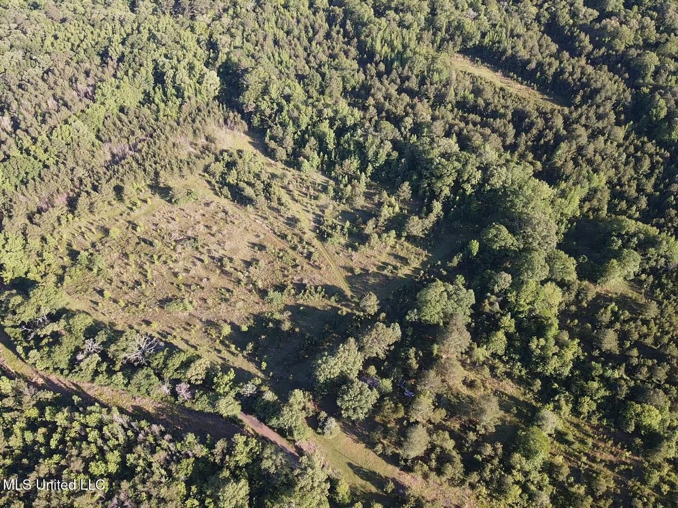 Great Homesite and Hunting Tract in Hermanville, MS