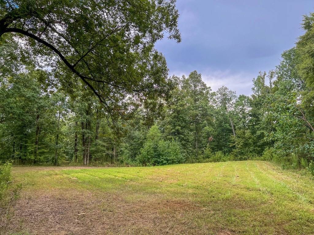 Hunting Land for Sale in Hinds County, MS