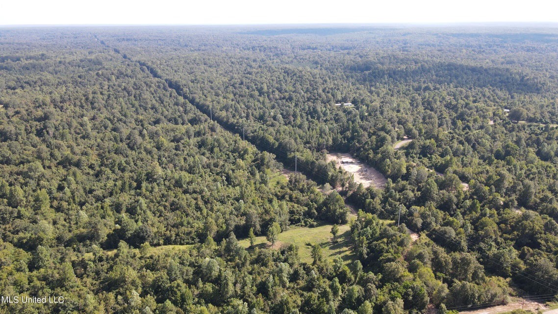 60 Acres For Sale In Yazoo County, MS