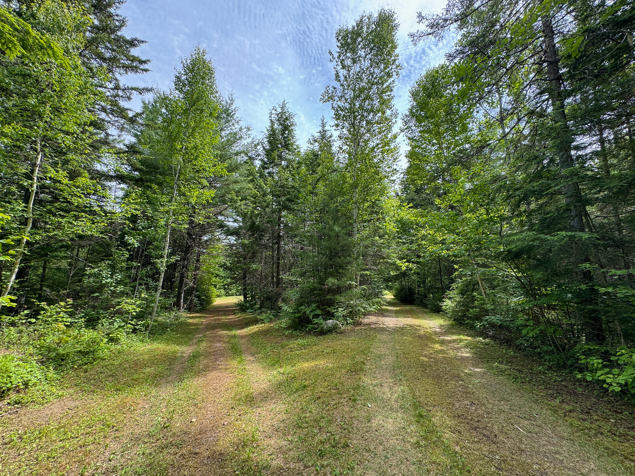 Off-Grid Maine Cabin for Sale | 26 Acres with Stream Frontage