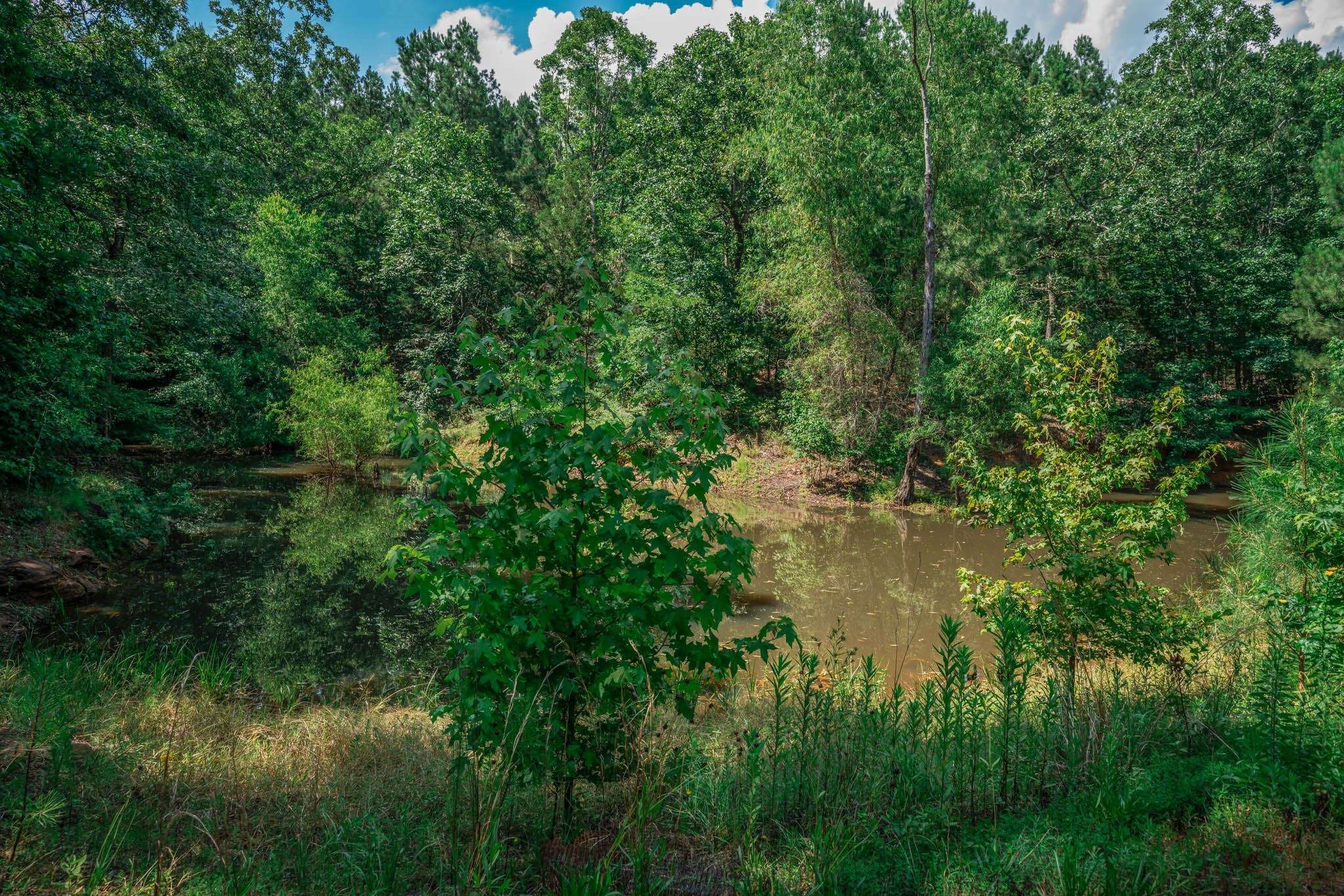 Gorgeous Acreage with Private Lake and Large House