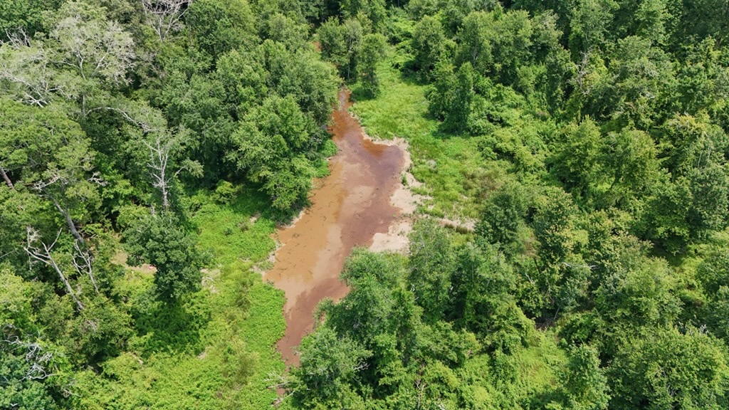 345 Acres with Camp, Creek bordering National Forest in SWMS