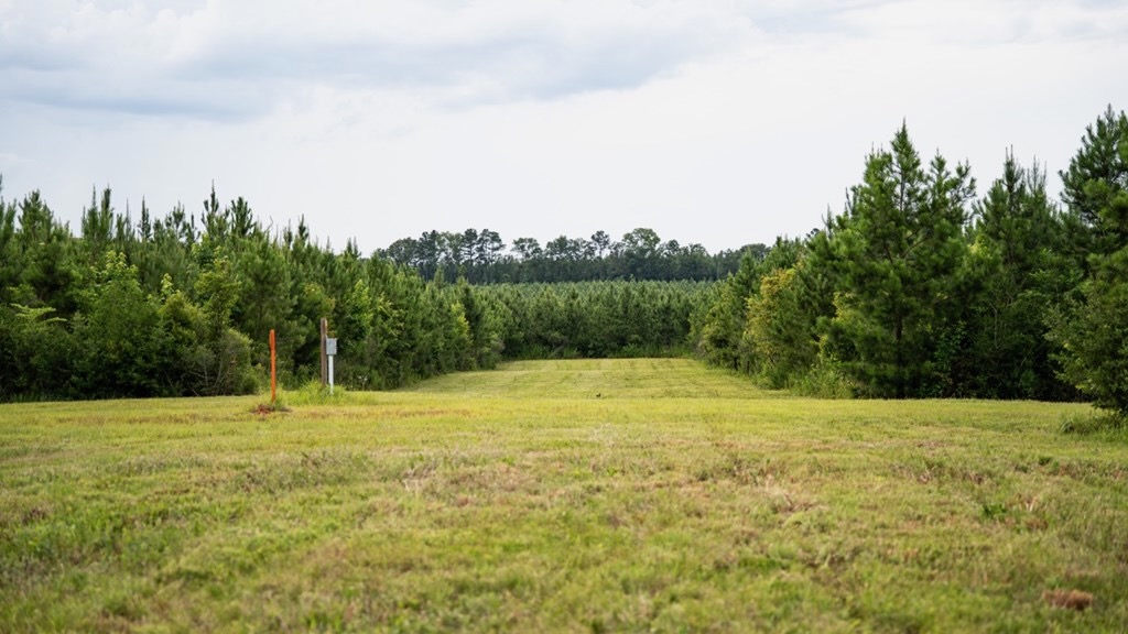 Mississippi Hunting Land – Easy 88 in Magnolia/Osyka