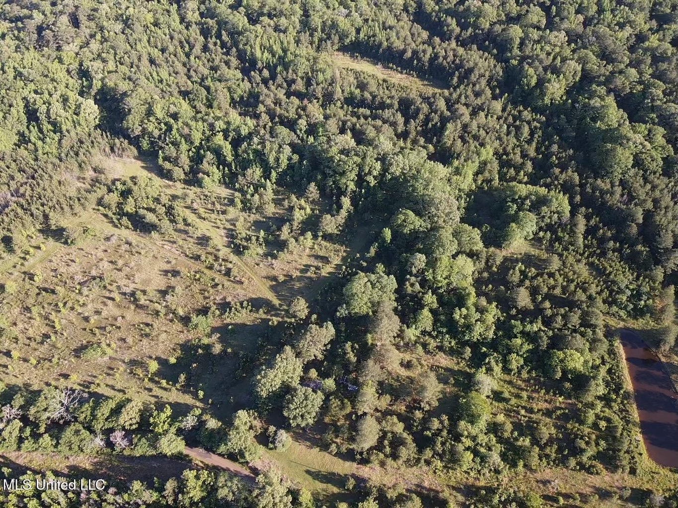 Great Homesite and Hunting Tract in Hermanville, MS