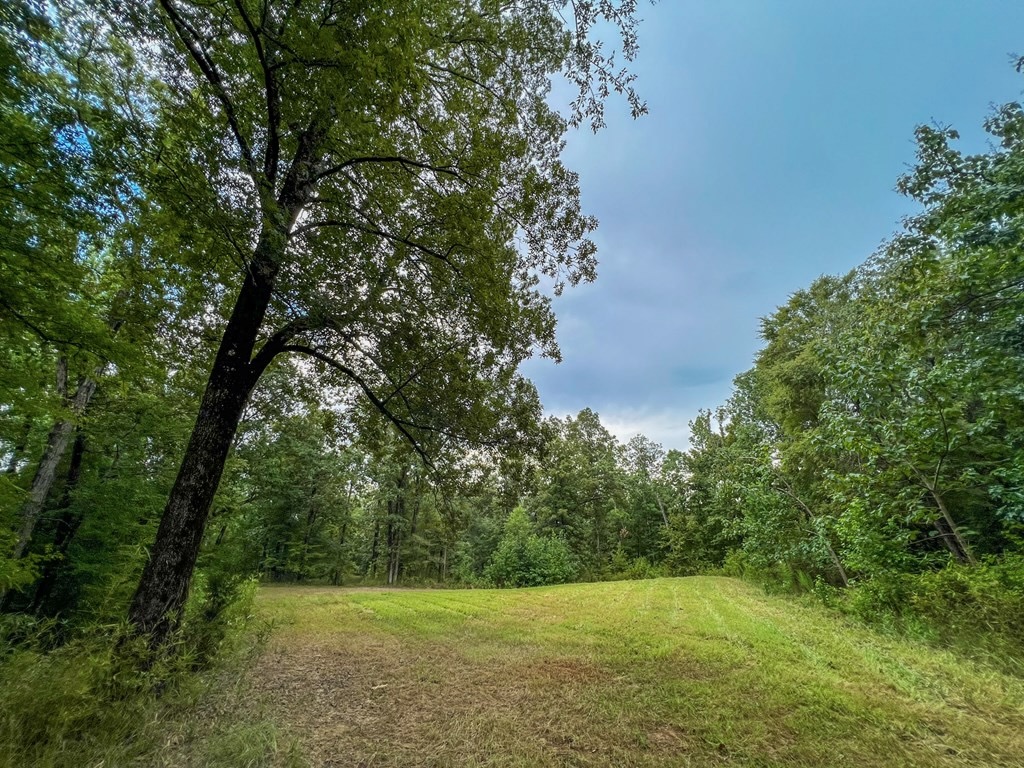 Hunting Land for Sale in Hinds County, MS