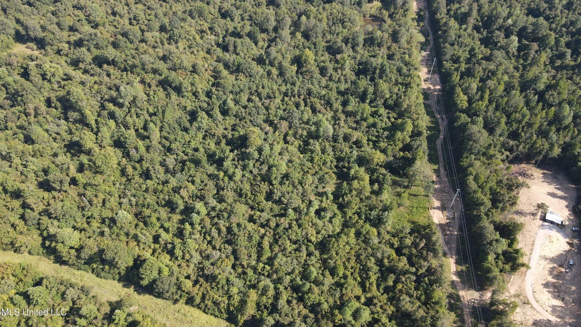 60 Acres For Sale In Yazoo County, MS