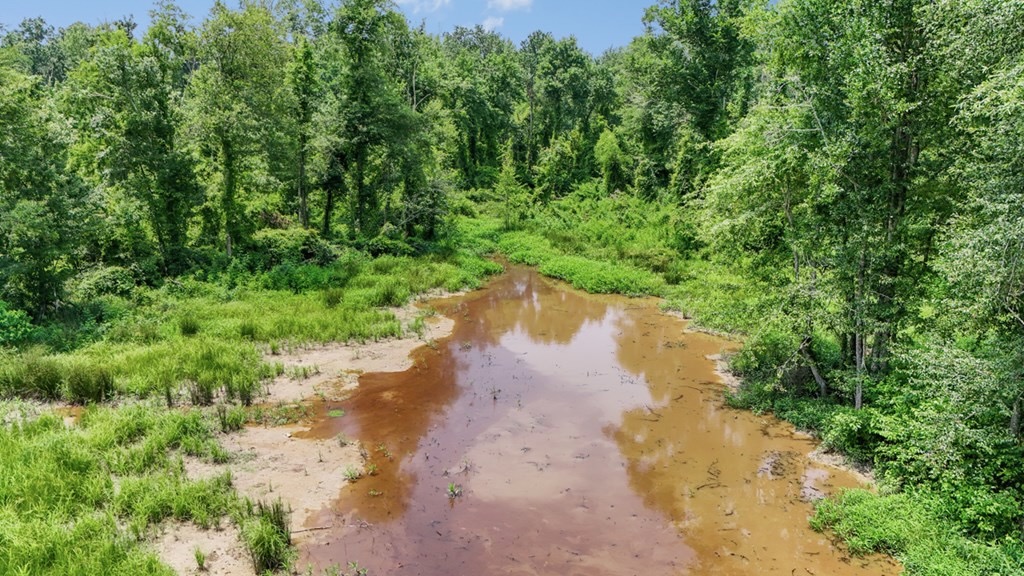 345 Acres with Camp, Creek bordering National Forest in SWMS