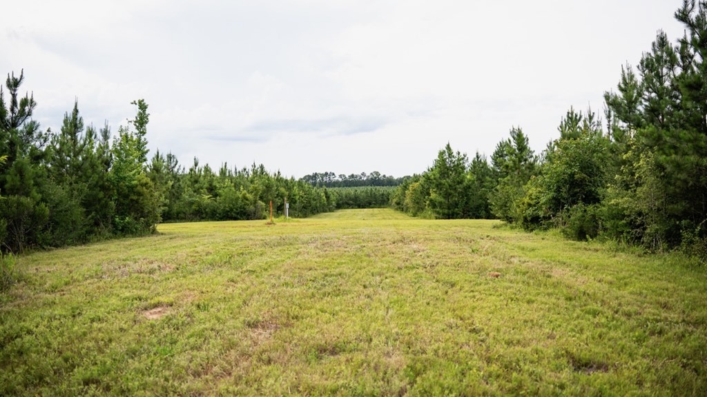 Mississippi Hunting Land – Easy 88 in Magnolia/Osyka