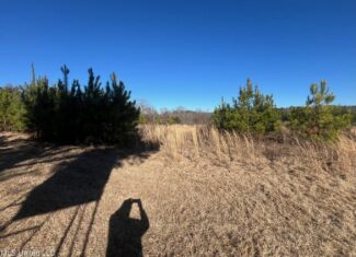 Great Homesite and Hunting Tract in Hermanville, MS