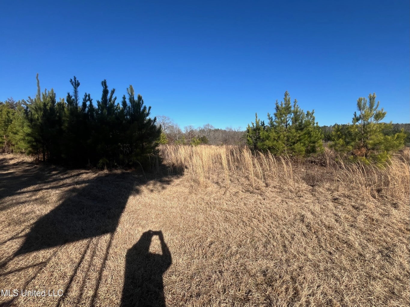 Great Homesite and Hunting Tract in Hermanville, MS