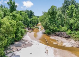 345 Acres with Camp, Creek bordering National Forest in SWMS