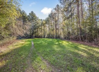 Land For Sale in Amite County, MS