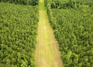 Mississippi Hunting Land – Easy 88 in Magnolia/Osyka