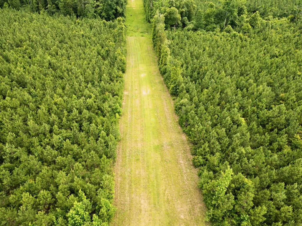 Mississippi Hunting Land – Easy 88 in Magnolia/Osyka