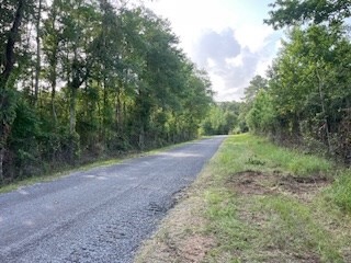 Small Hunting Tract FOR SALE in Amite County, MS