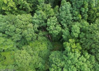 28+- Acres for Sale in Natchez, MS