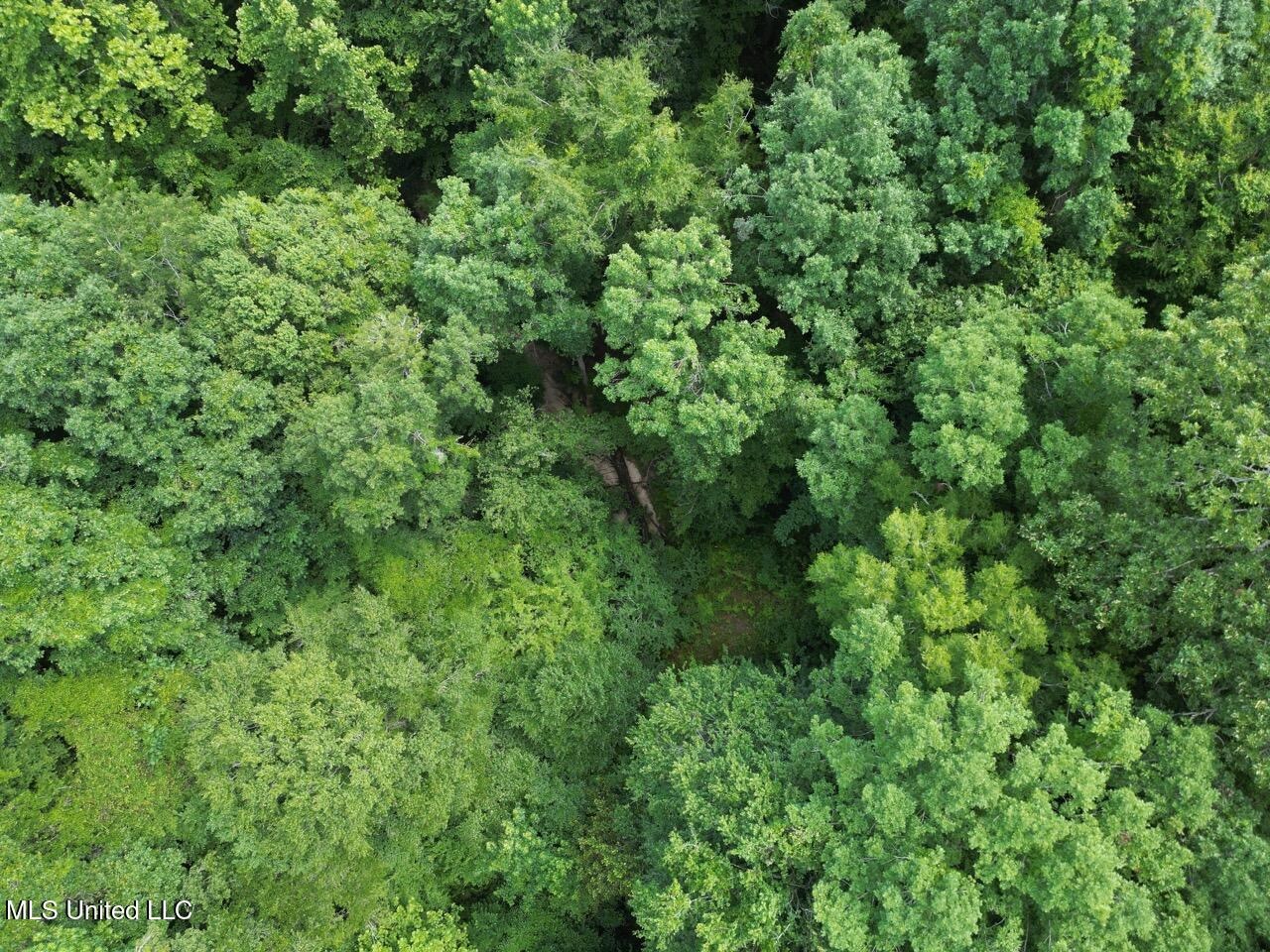 28+- Acres for Sale in Natchez, MS