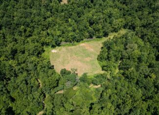 Hunting Land in Claiborne County, MS – Lonesome Pine