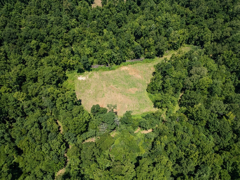 Hunting Land in Claiborne County, MS – Lonesome Pine