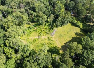 Clinton 30 Acres for Sale – Rural Land Near Baton Rouge, LA