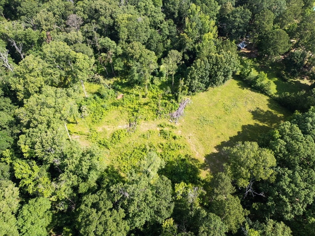 Clinton 30 Acres for Sale – Rural Land Near Baton Rouge, LA