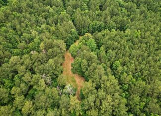 Hunting Land Near Homochitto National Forest, MS