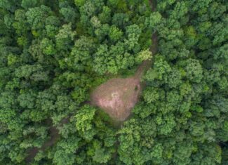 Hunting Land for Sale in Hinds County, MS