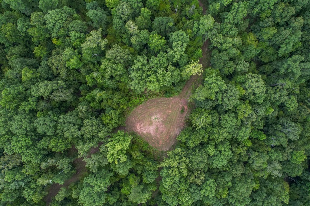 Hunting Land for Sale in Hinds County, MS