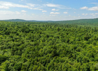 Lakefront Land for Sale – 12.52 Acres with 355 Feet of Shoreline