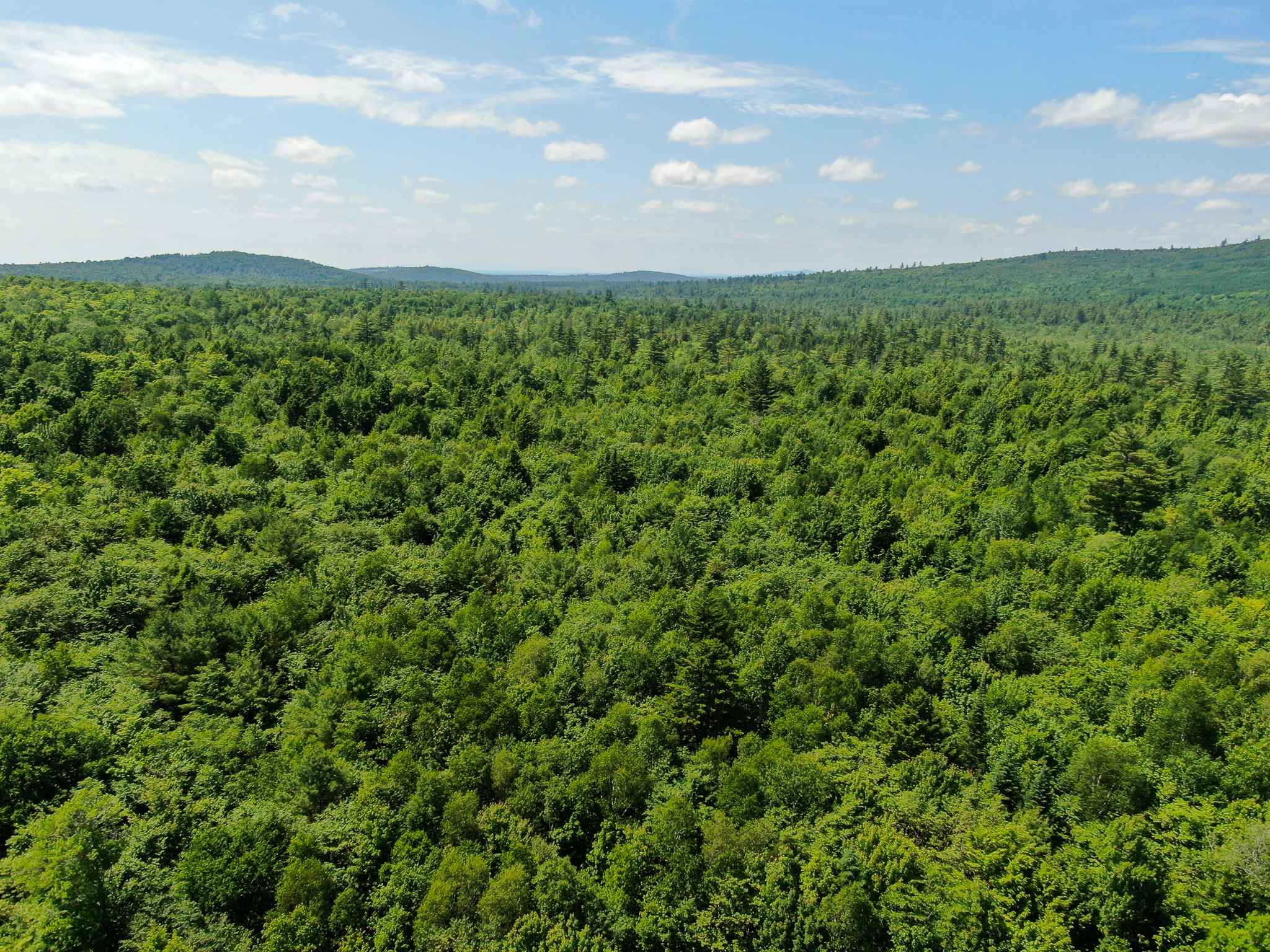 Lakefront Land for Sale – 12.52 Acres with 355 Feet of Shoreline