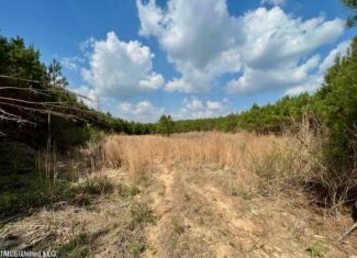 52 Acre Homesite Madison County Camden, MS