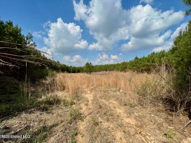 52 Acre Homesite Madison County Camden, MS