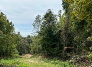 60 Acres For Sale In Yazoo County, MS