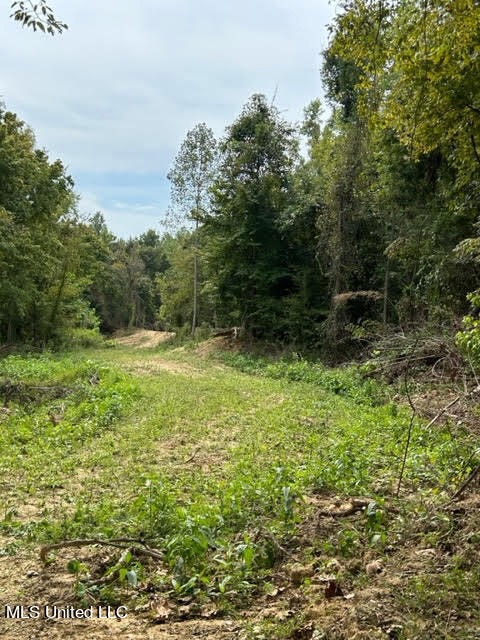 60 Acres For Sale In Yazoo County, MS