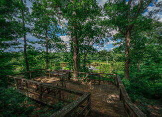 Gorgeous Acreage with Private Lake and Large House