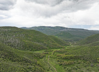 Colorado Recreation and Hunting Property