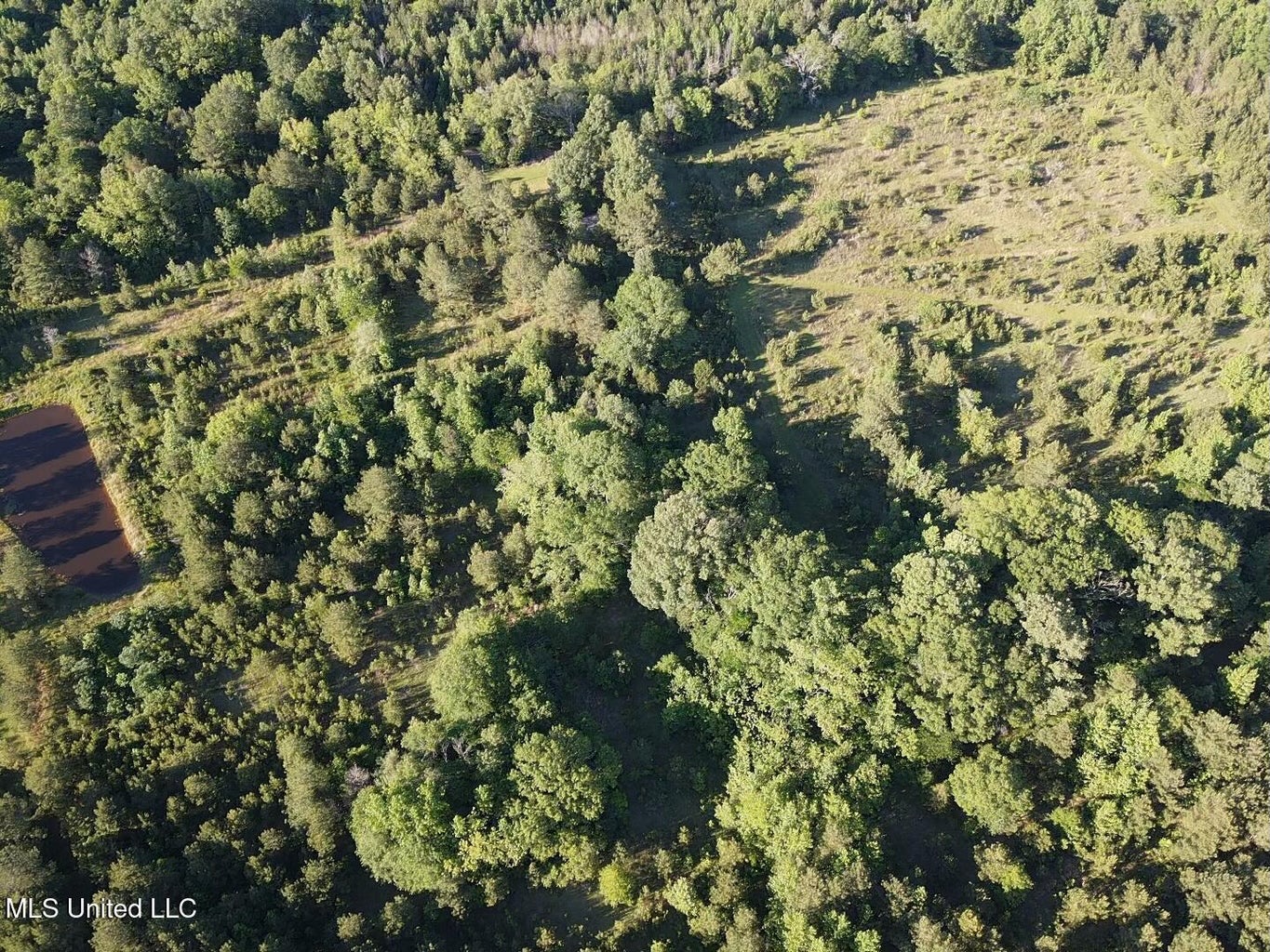 Great Homesite and Hunting Tract in Hermanville, MS