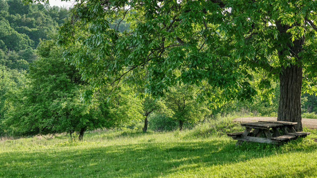 More than a place to live, it’s a retreat for the entire family!