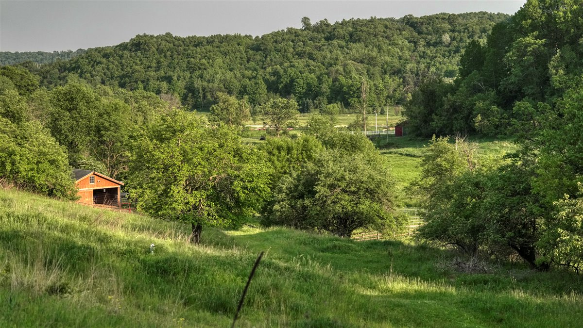 More than a place to live, it’s a retreat for the entire family!