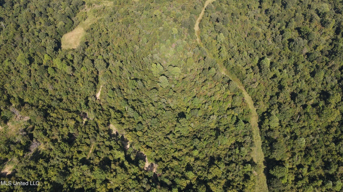 60 Acres For Sale In Yazoo County, MS
