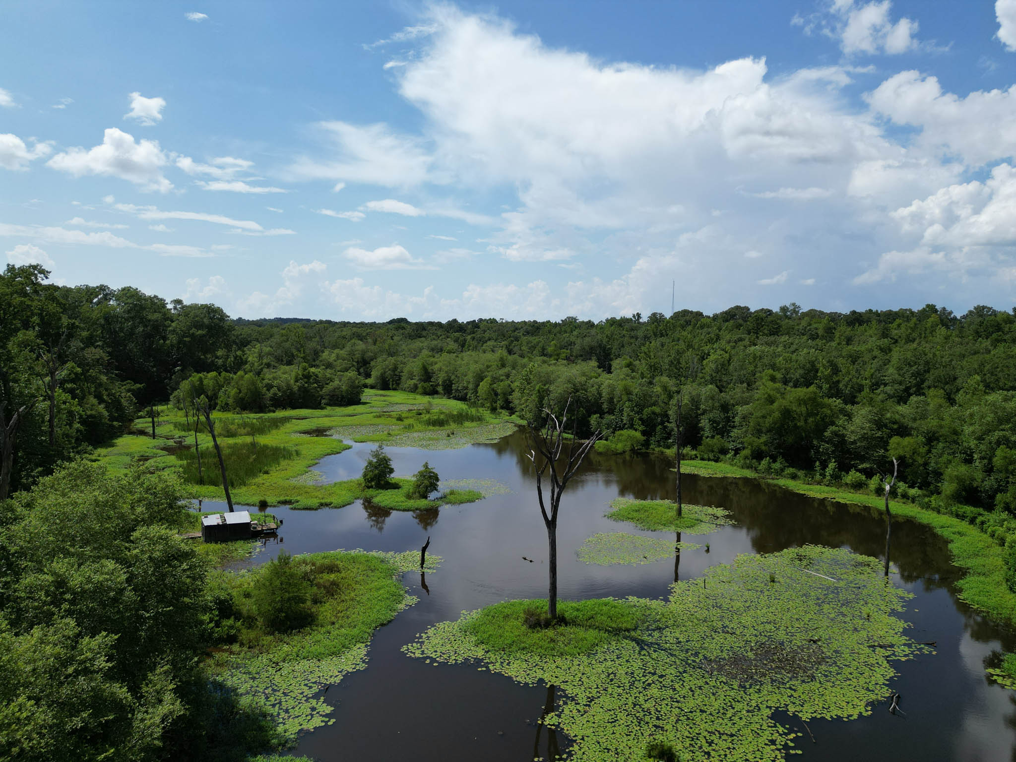Gorgeous Acreage with Private Lake and Large House