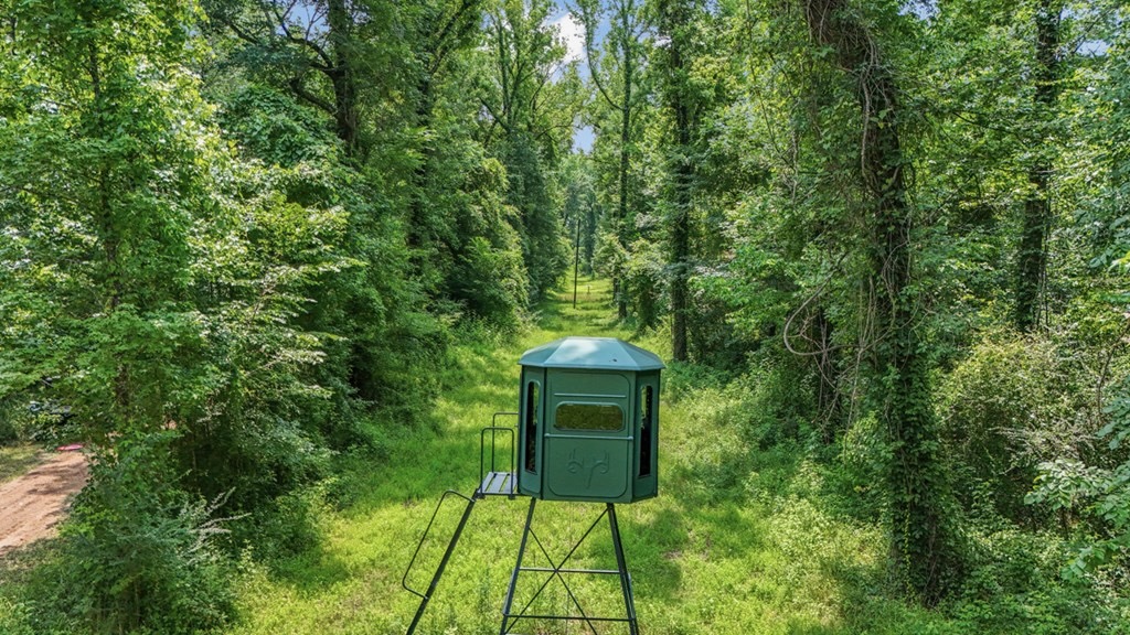 345 Acres with Camp, Creek bordering National Forest in SWMS
