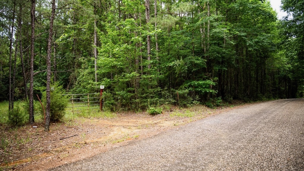 Hunting Land Near Homochitto National Forest, MS