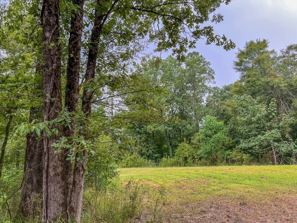 Hunting Land for Sale in Hinds County, MS