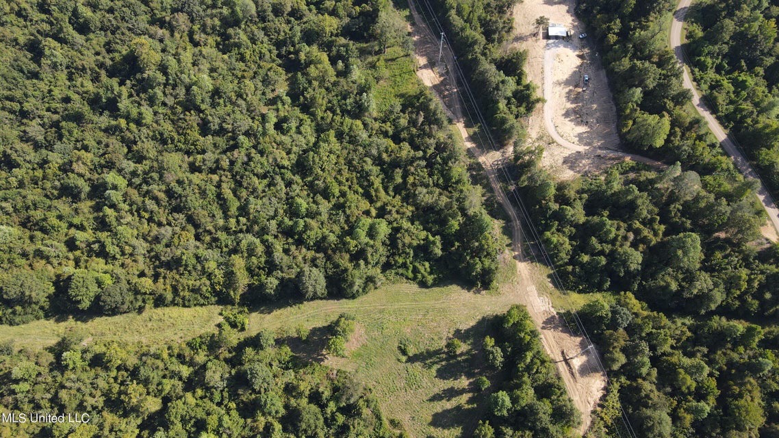 60 Acres For Sale In Yazoo County, MS