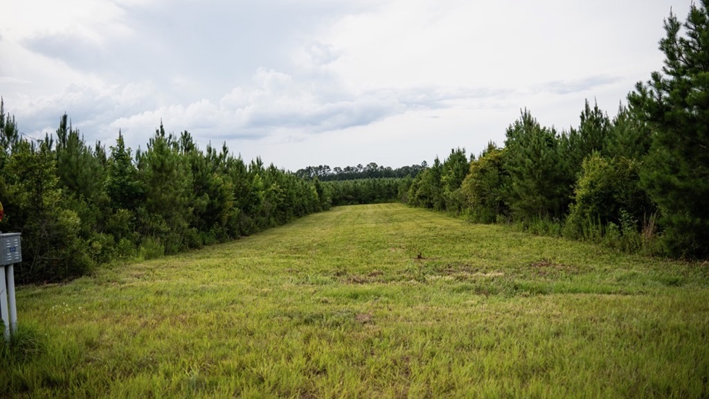 Mississippi Hunting Land – Easy 88 in Magnolia/Osyka