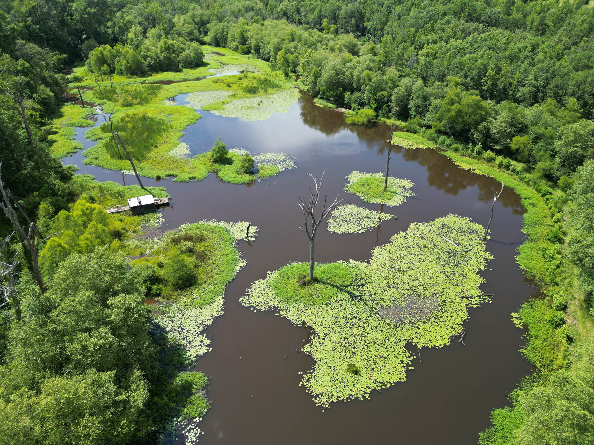 Gorgeous Acreage with Private Lake and Large House