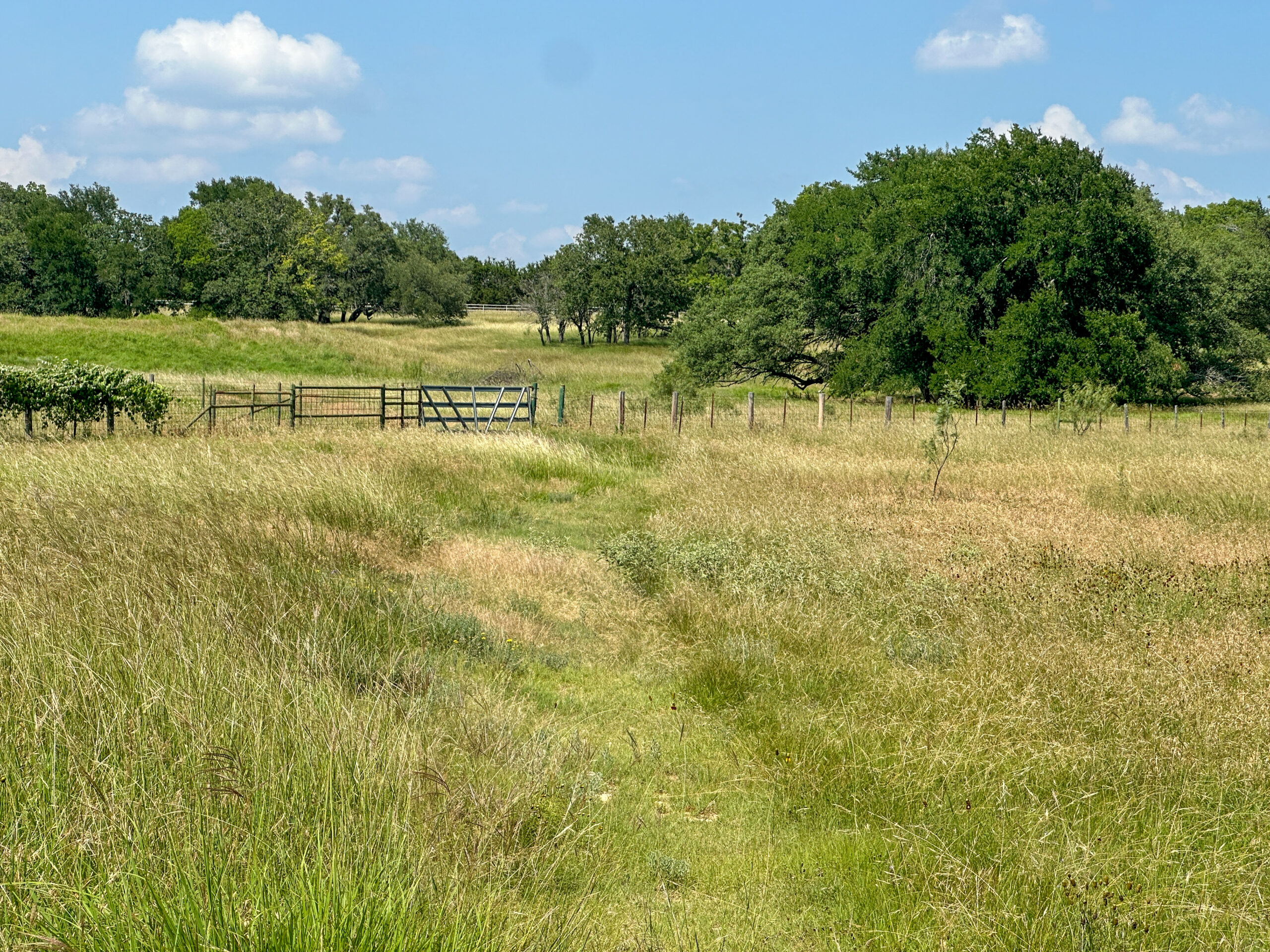 Own a Stunning Piece of Central Texas Land – Build, Hunt, or Escape