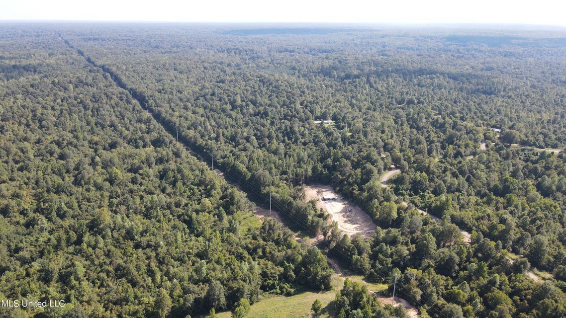 60 Acres For Sale In Yazoo County, MS